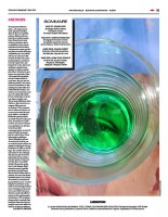https://www.studiodaubal.com:443/files/gimgs/th-145_verre vertweb.jpg